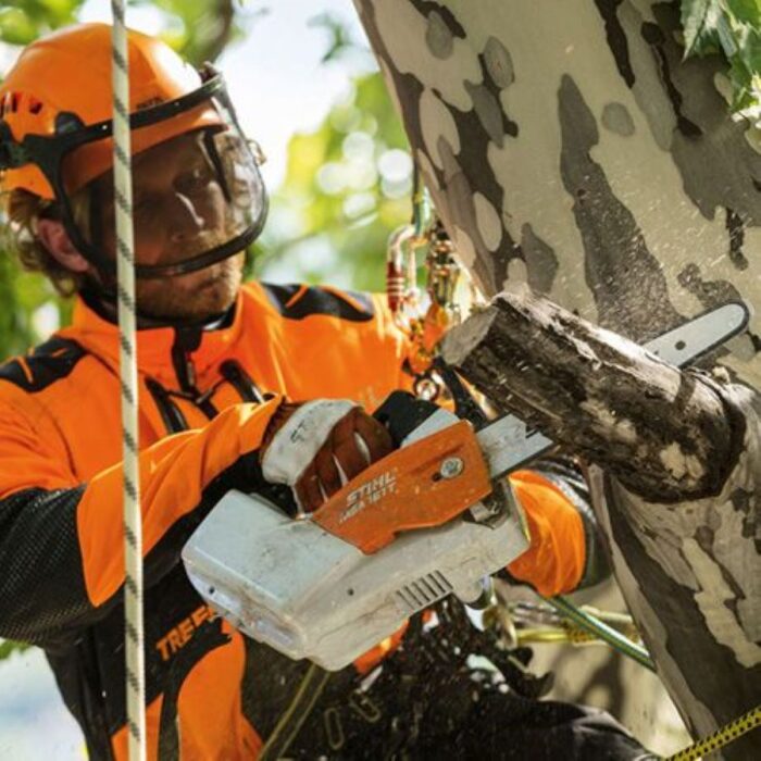 Stihl MSA 161T Cordless Chainsaw - Image 2