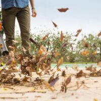 Stihl BG 56 Leaf Blower - Image 3