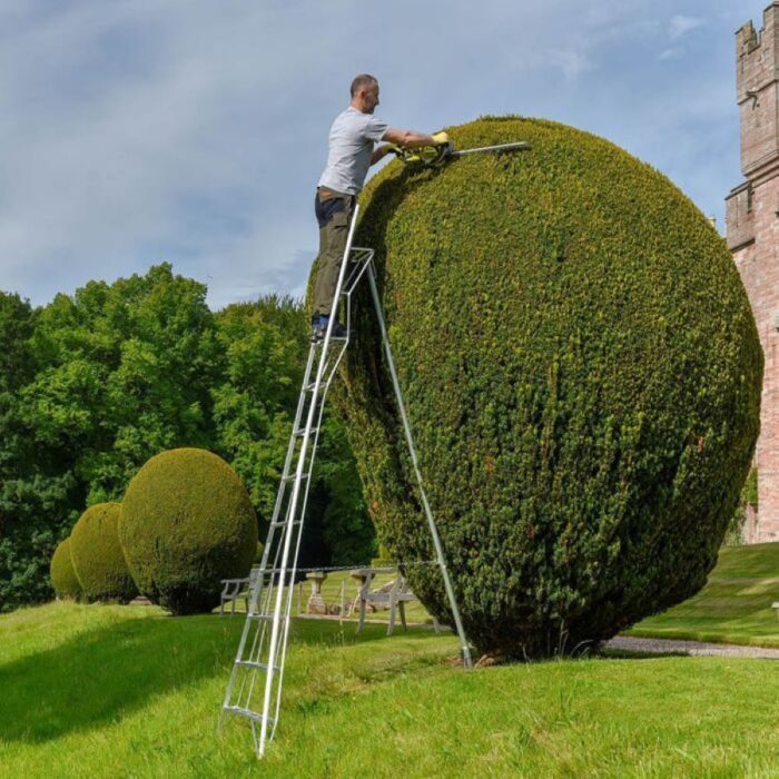 Hendon Platform Tripod Ladder