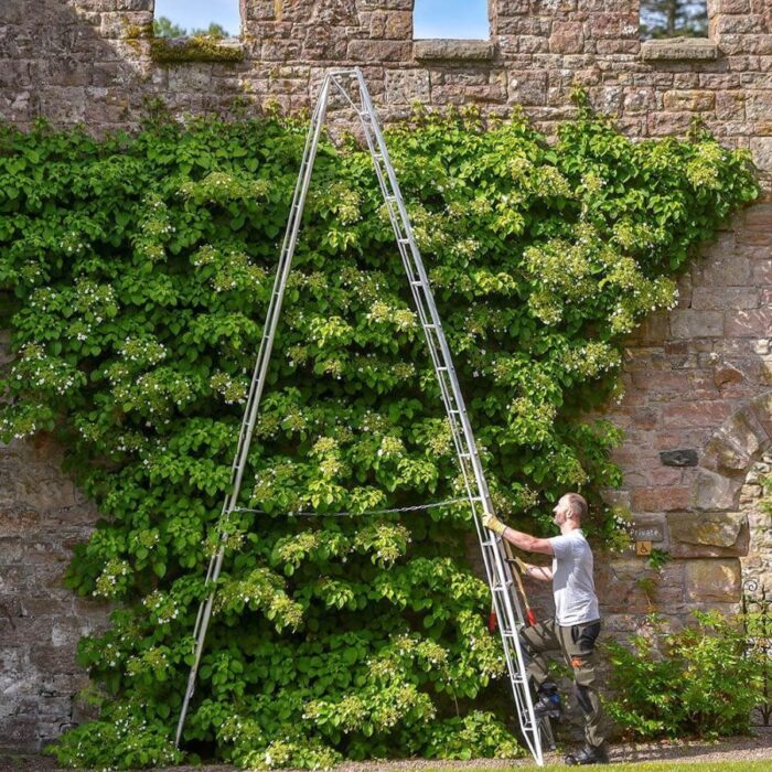 Hendon Standard Tripod Ladder - Image 6